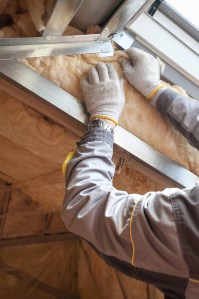 Best Attic Insulation Installation  in Nutter Fort, WV